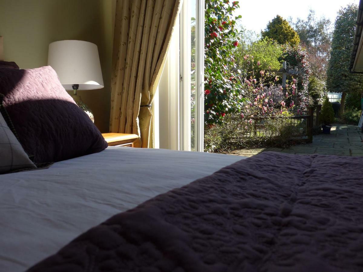 The Olive Tree Bed & Breakfast Gosport Dış mekan fotoğraf