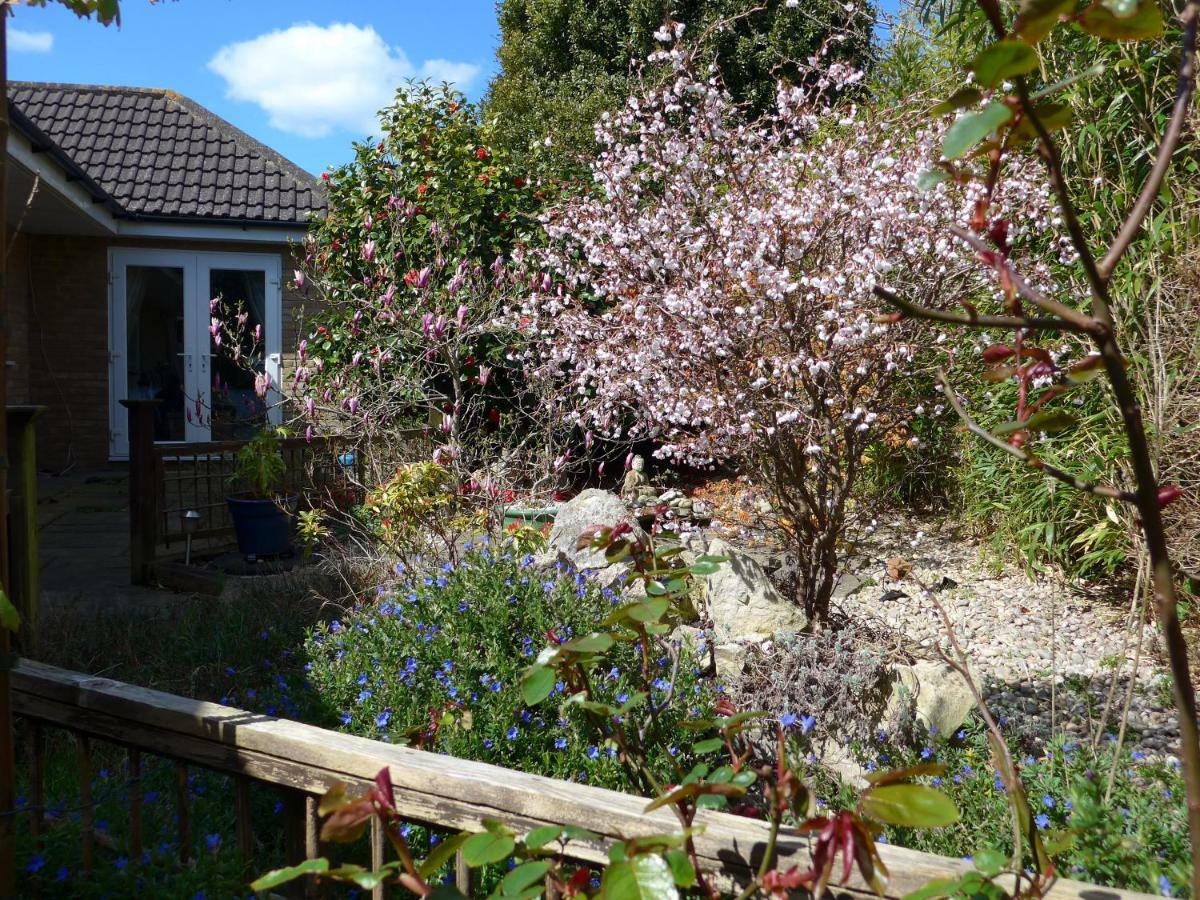 The Olive Tree Bed & Breakfast Gosport Dış mekan fotoğraf